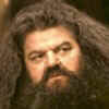 hagrid.jpg (5728 bytes)